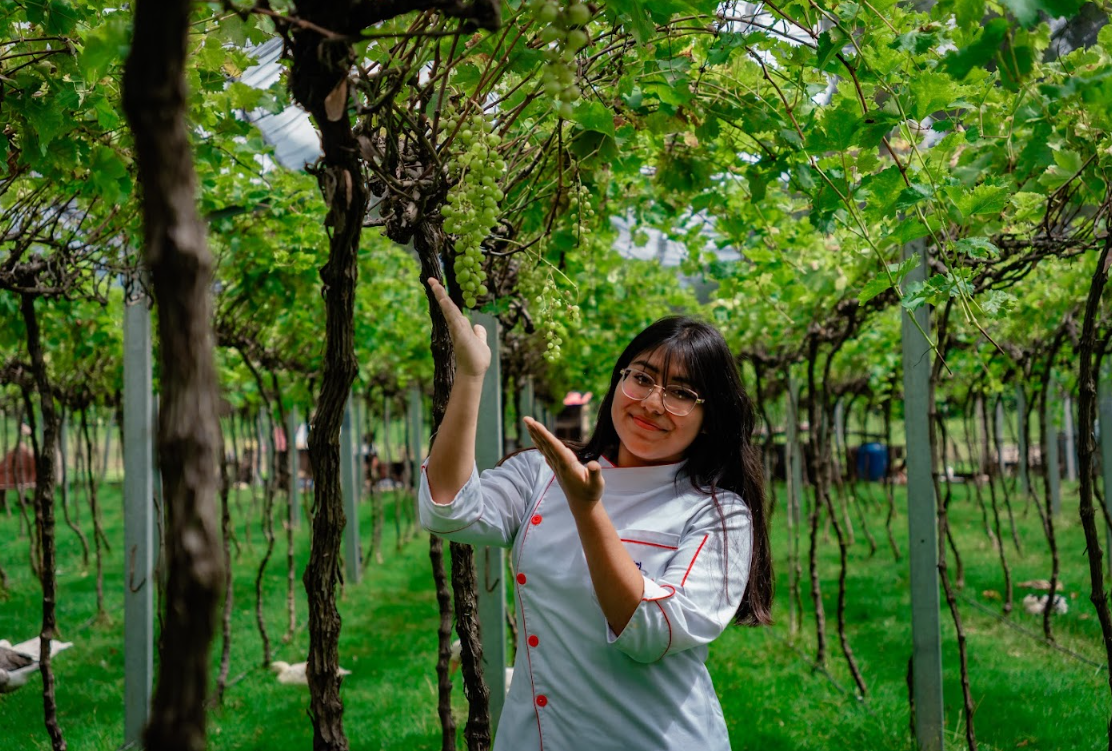 Estudiantes de Gastronomía de la UCATEC Visitan el Viñedo El Campanario en Sipe Sipe para una Experiencia Enológica y Gastronómica